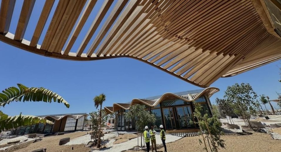 Shura Island guest-room canopies — Red Sea Global